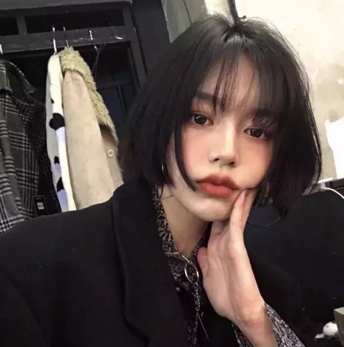 雾水总统